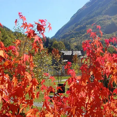 Apartment Gran Paradiso Saint Georges