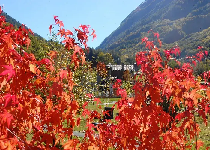 アパート Gran Paradiso Saint Georges